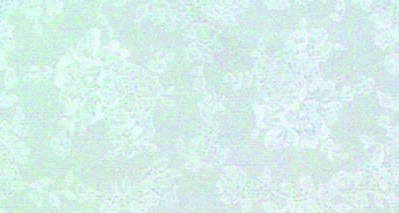 F0290 - White Lace