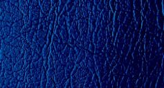 N121 - Dark Blue