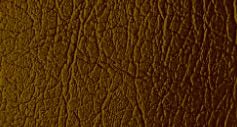 N151 - Saddle