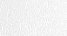 N170 - Pure White