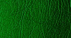 N330 - Dark Green