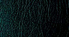 N563 - Black Oxen
