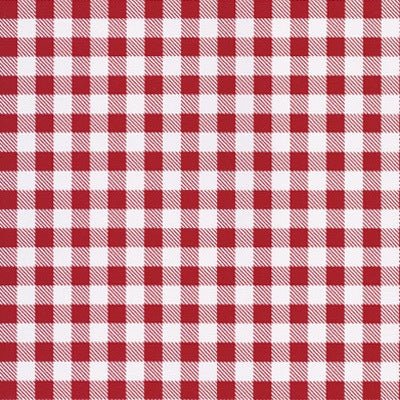 Style 9828 – Going Gingham - 25 Yard Roll