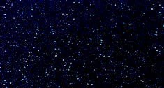 U0133 - Starnite Black