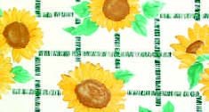 F0230 - Sunflower White