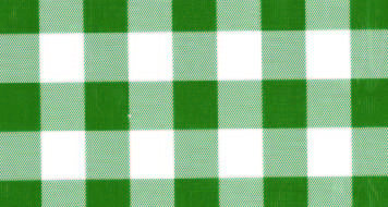 R0357 -Chess Check Green