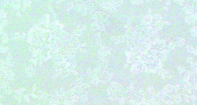 F0290 - White Lace
